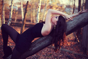 fall by SabrinaCichy