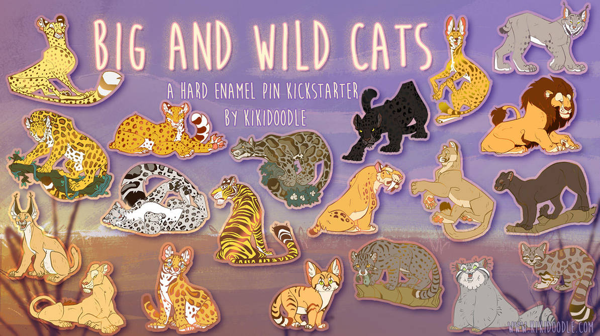 2 days left in Big And Wild Cat Kickstarter by kiki-doodle