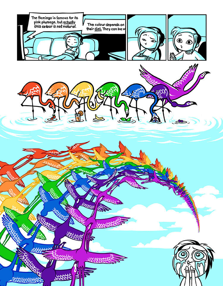 Flamingo rainbow by Aeonna