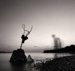 Totem... by denis2