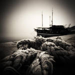 Konopi... by denis2