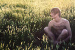 in sunset weeds by johnberd