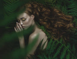 Fern blossom by Laima1