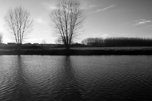 Sentinels of the river by luis75