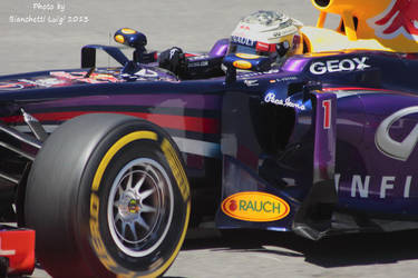 Vettel Monaco 1 by luis75