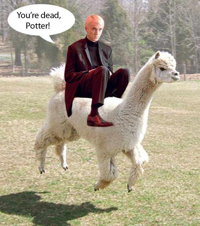 Draco Malfloy and his alpaca by pierzyna