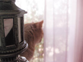 The dreamer by smootie