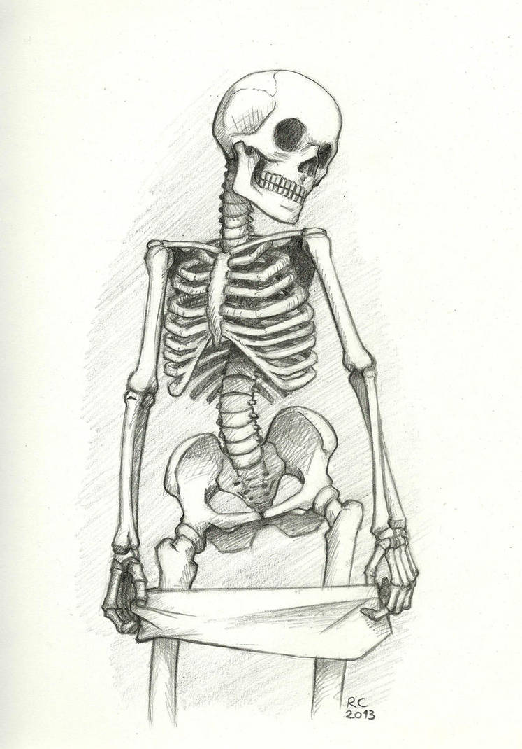 Рисунки скелетов для срисовки