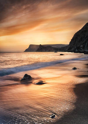 Golden Sunset by Trashins Golden Sunset by Trashins