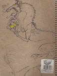 Back Cover 2006 by omgdragonfly