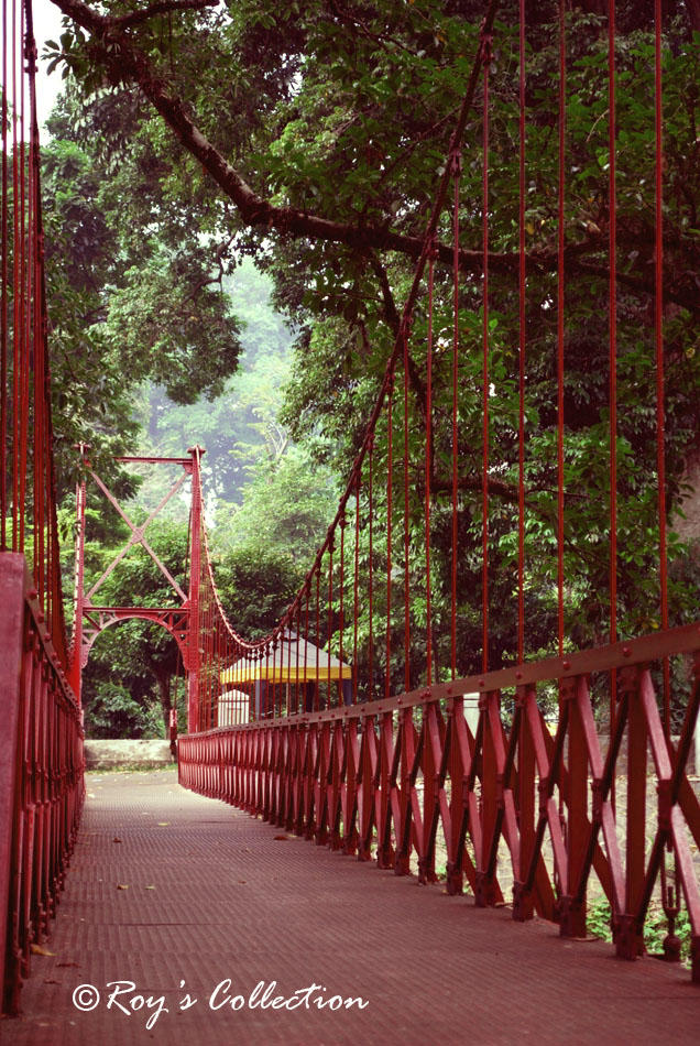 The Golden Gate of Bogor... by RoyWicaksono