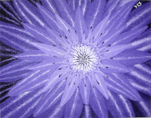 Purple Lotus by dksartwork