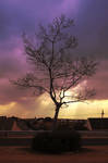 Suburban Sunset by erene