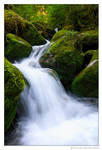 Refreshing by Swordtemper