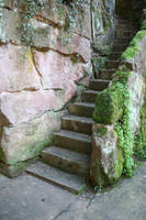 Background Stock 080 by Malleni-Stock