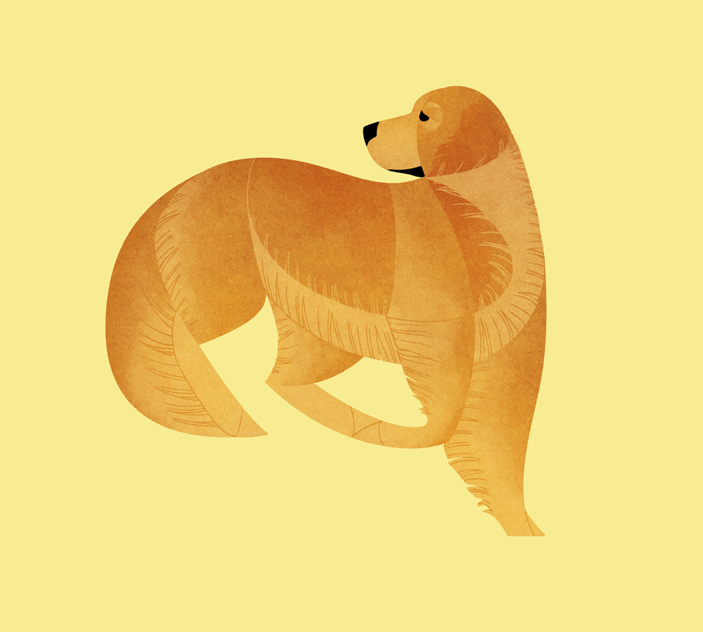 Geometric dogs - Golden Retriever by Kelgrid
