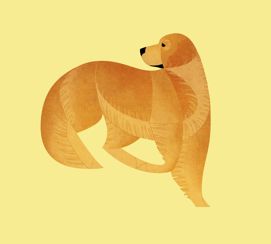 Geometric dogs - Golden Retriever by Kelgrid