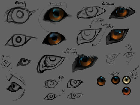 Wolf eyes practice by Chickenbusiness