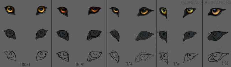 Wolf eye study by Chickenbusiness
