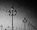 go back by Melidesidero
