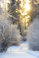 A path to the light by Lunnika-Horo