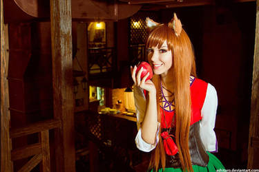 Horo - Spice and Wolf 3 by Chrome-sensei