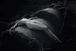 She Bid Me Take Love Easy III by Solus-Photography