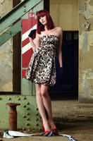 1334 by Black5pointstar