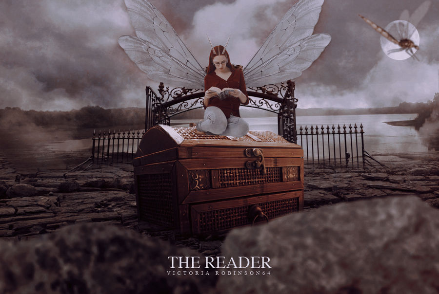 THE READER by viarobinson