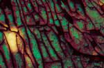 Gangrene by Vlodz