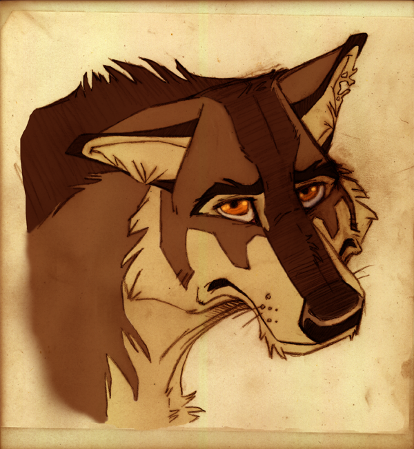 Wolf: Janus by wadifahtook