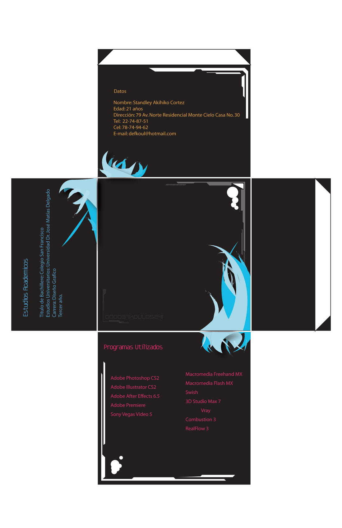 Mi Curriculum BACK by defkoul