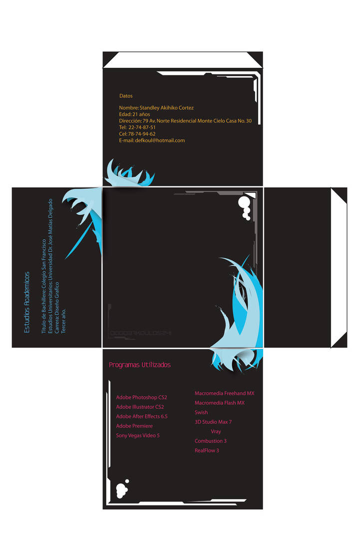 Mi Curriculum BACK by defkoul