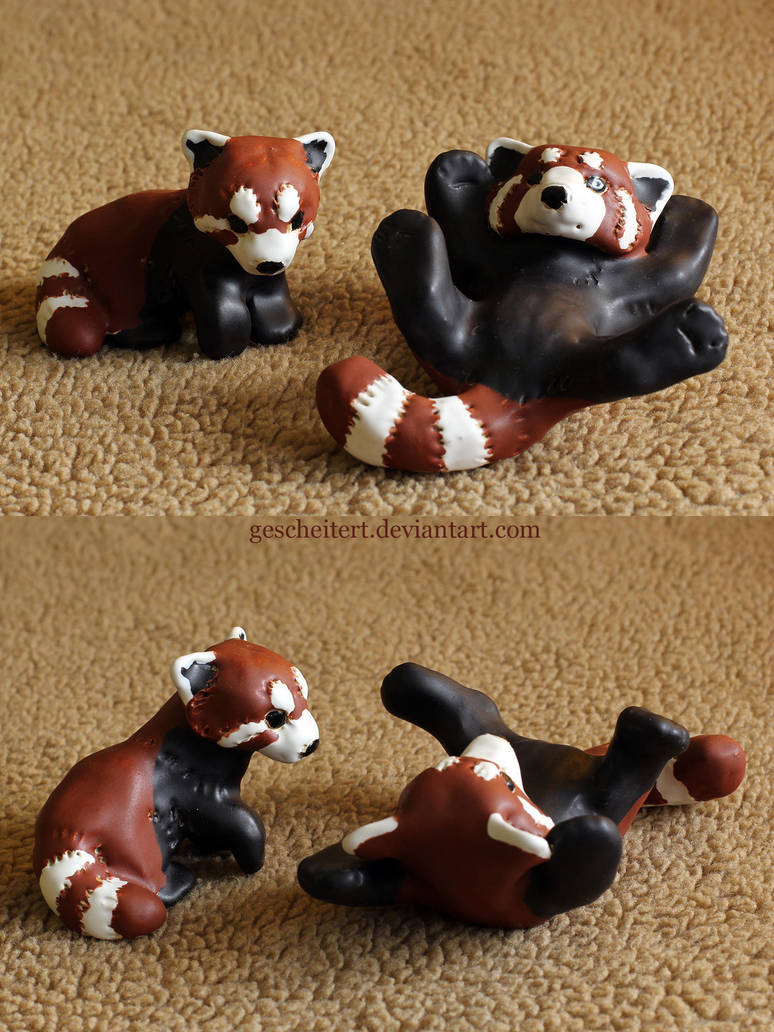 Red Pandas by gescheitert