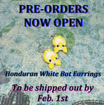PRE-ORDER Honduran White Bat Earrings by okapirose