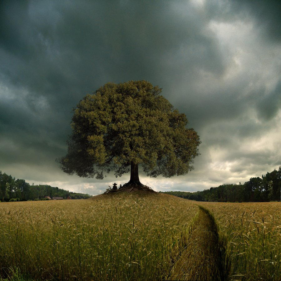 folk chillout scenery by Alcove