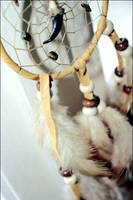 Dreamcatcher by adorableFRENCHIES