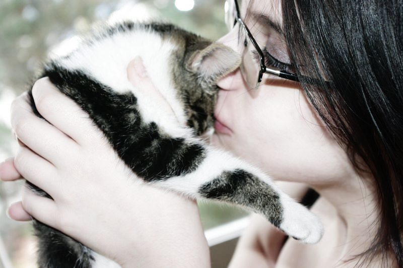 Affection by adorableFRENCHIES