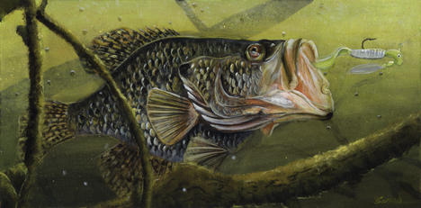 #crappie | Explore crappie on DeviantArt