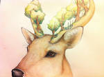 cervidae by caughtinthehurricane