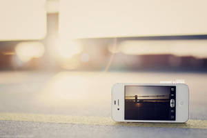 sunset scenes by Maegondo