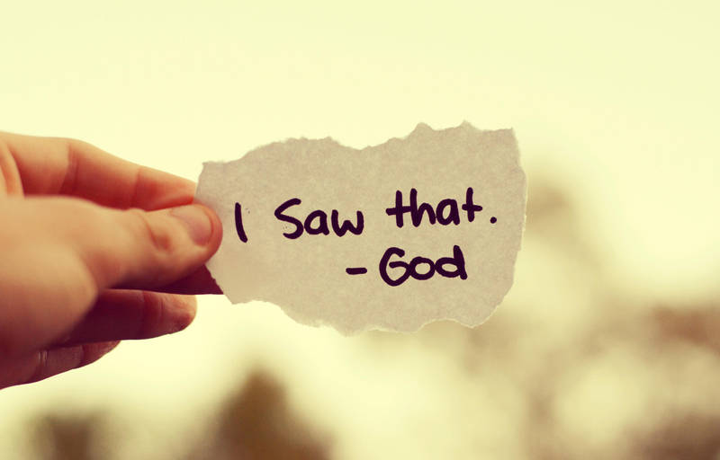 i saw that. by Shutter-Shooter