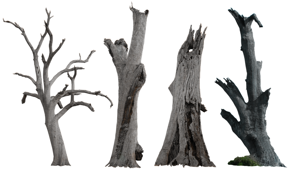 Dead Tree Pack 002 - HB593200 by hb593200