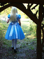 curiosity killed the cat by daisydaisydoom