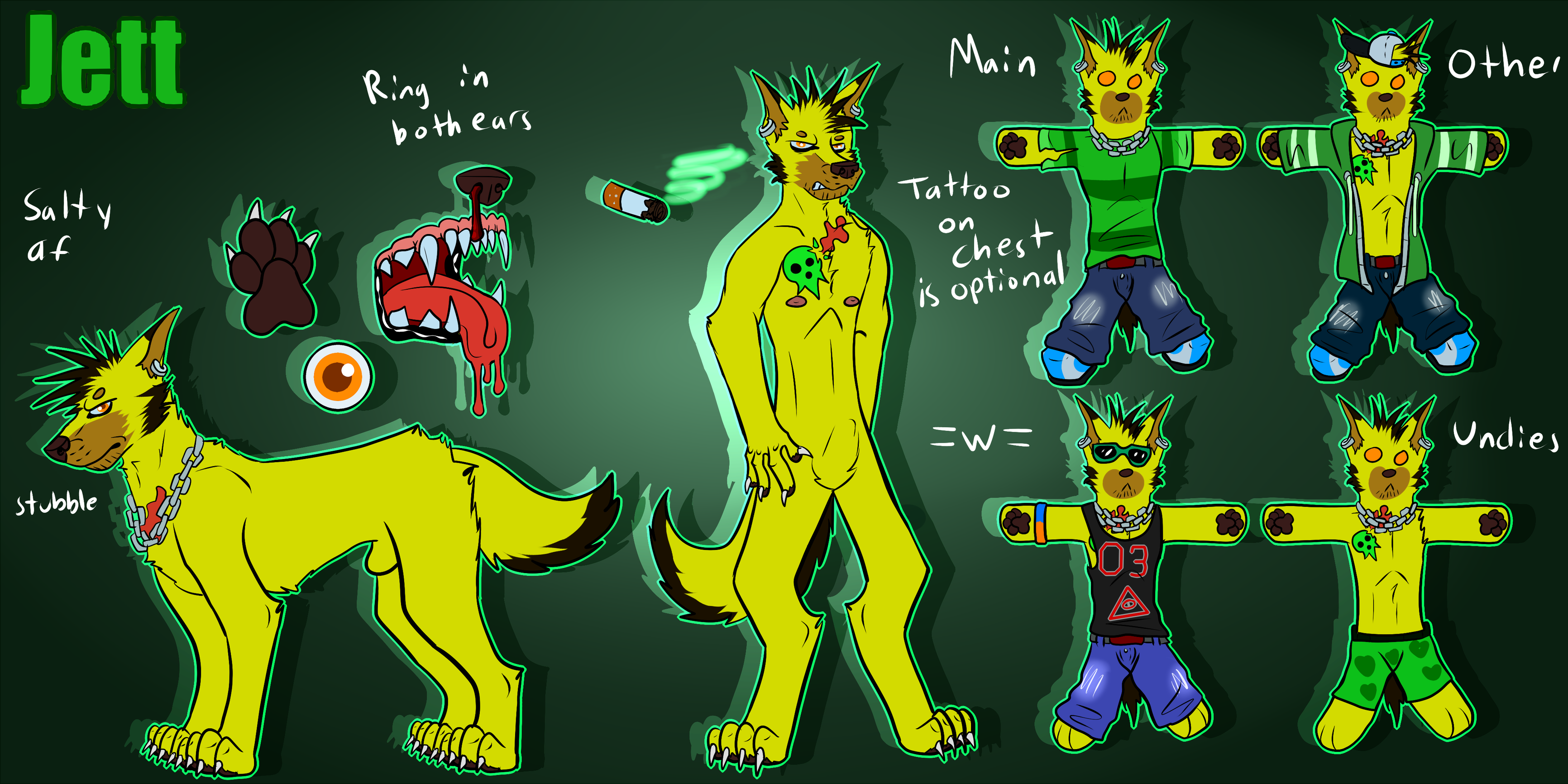 Jett's Ref by Randomthewolfskie