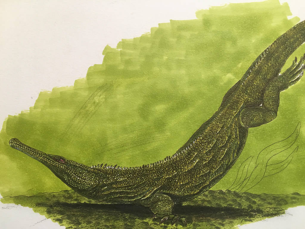 На рисунке изображен майаспондил вымершая рептилия. Грипозух. Хампсозавр скелет. Saurian торакозавр. Бореалозух.