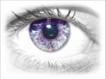 Iris 2 by Kate419882