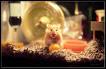 Portrait of a Hamster by shubat