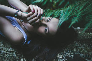 forest floor by vampire-zombie