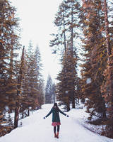 snowfall by vampire-zombie